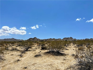 64200 Sullivan Rd, Joshua Tree, CA 92252 - photo 3