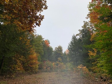IMG_8161