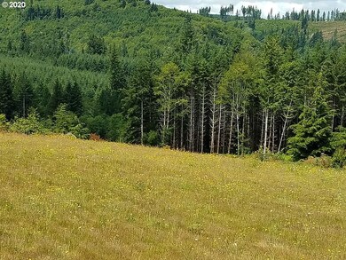 0 Oak Point Rd, Longview, WA 98632 - photo 5