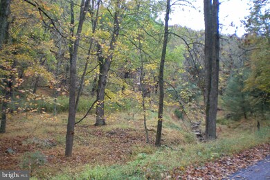 0 Dickenson Mountain Rd unit 220/7 WVPT100100, Franklin, WV 26807 - photo 5