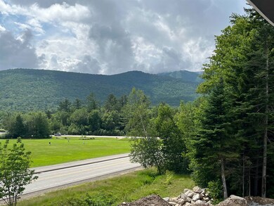 21 Bull Hill Way unit 10, Waterville Valley, NH 03215 - photo 4