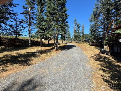 143 Homer Ln, Chehalis, WA 98532 - photo 4