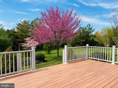 13190 Triple Crown Loop, Gainesville, VA 20155 - photo 2