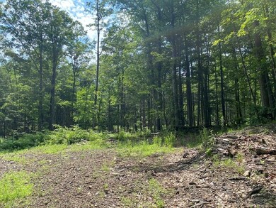 Lot 13 Howes Rd, Buckland, MA 01370 - photo 6