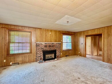 Living room fireplace