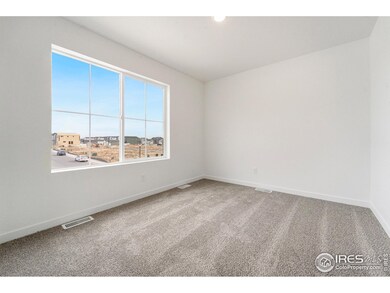 3809 Rhoadarmer Way, Evans, CO 80620 - photo 6