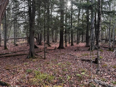 TBD Skanee Rd, Skanee, MI 49962 - photo 7