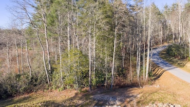 59 Bottlebrush Dr, Cashiers, NC 28717 - photo 6