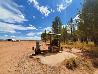 509 Riata Rd, Tularosa, NM 88352 - photo 3