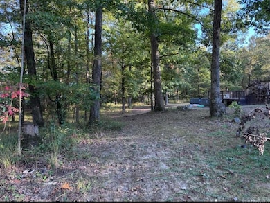 14200 Cherylwood Rd, Alexander, AR 72002 - photo 4