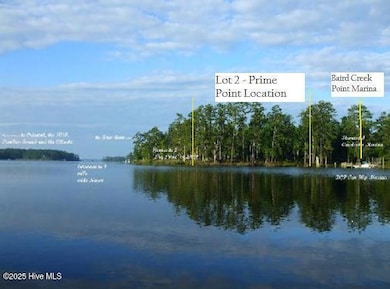 454 Baird Point Rd, Grantsboro, NC 28529 - photo 6