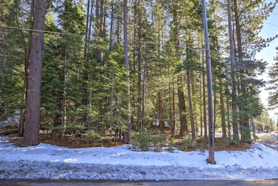 1346 Thunderbird Dr, South Lake Tahoe, CA 96150 - photo 7