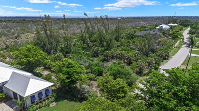 Bird's eye view of a heavily wooded area
