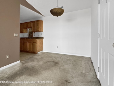 322 Pere Marquette Dr unit 15, Lansing, MI 48912 - photo 5
