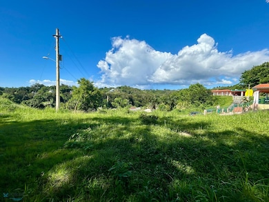 10 Carr 412 Solar D-, Rincon, PR 00677 - photo 2