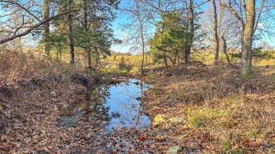 10510 Boulder Rd, Mountain Grove, MO 65711 - photo 4