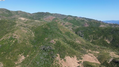 11311 Pine Flat Rd, Healdsburg, CA 95448 - photo 4