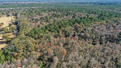 DJI_0287