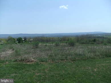 132 Gobbler Run Dr, Warfordsburg, PA 17267 - photo 6