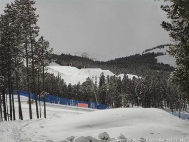 Other. Borders Trygve s Ski Run on Peak 8 of the B