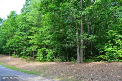 0 Bre Z Way Ln unit 1003061144, Lignum, VA 22726 - photo 3