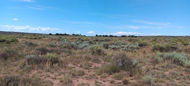 7060th, Chambers, AZ 86502 - photo 3