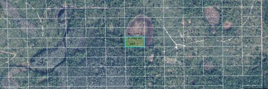 0 Dill Rd unit MFRO6244663, Orlando, FL 32820 - photo 2