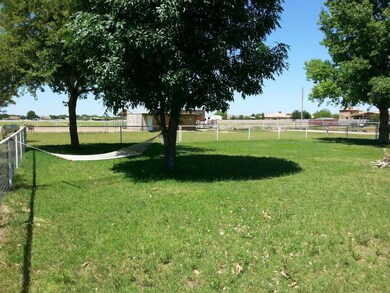 Mature Shade Trees Too!