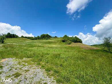 0 Horne Hollow Rd Tract B, Sugar Grove, VA 24375 - photo 4