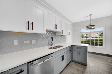 1718 Chesapeake Ln unit 5, Schaumburg, IL 60193 - photo 7