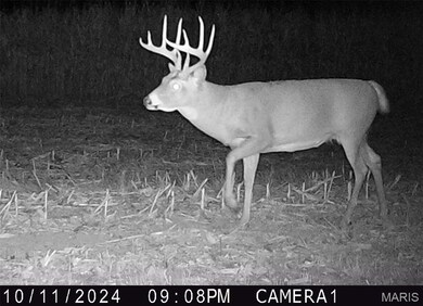 00 Union Grove Ave, Lagrange Township, IL 62246 - photo 3