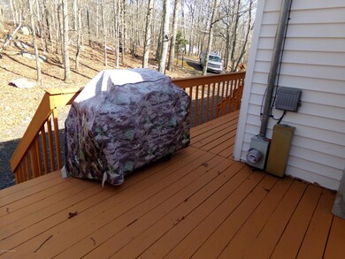 1208 Bluebird Ln, Bushkill, PA 18324 - photo 6