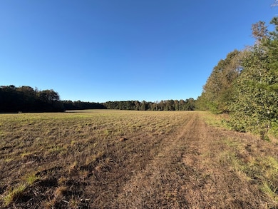 TBD E Redcut Rd, Fouke, AR 71837 - photo 4