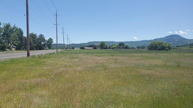 1816 E Vilas Rd, Medford, OR 97502 - photo 5