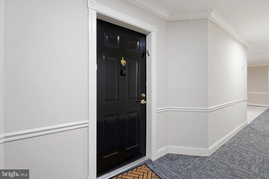 4750 Coyle Rd unit 403, Owings Mills, MD 21117 - photo 4