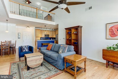 903 Noah Winfield Terrace unit 9-303, Annapolis, MD 21409 - photo 4