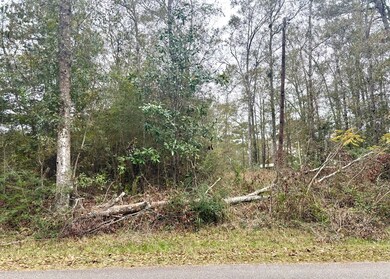 120 Will Thompson Rd, Picayune, MS 39466 - photo 7