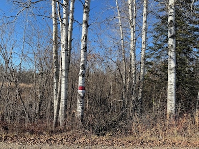 Parcel B Parameter Rd, Deer River, MN 56636 - photo 7