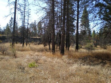 Hogsback #4