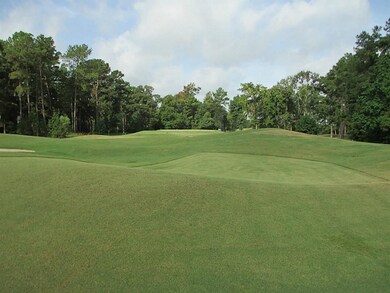 32511 Pebble Bend Way, Magnolia, TX 77354 - photo 5