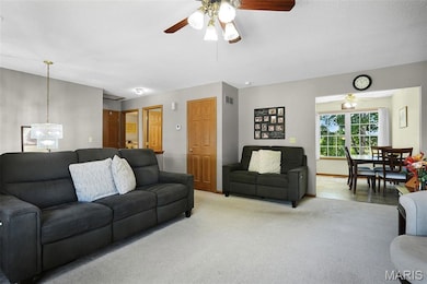 412 Locust St, New Haven, MO 63068 - photo 7