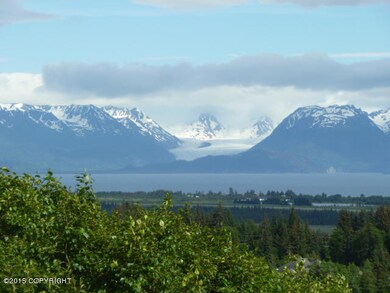 Grewingk Glacier View