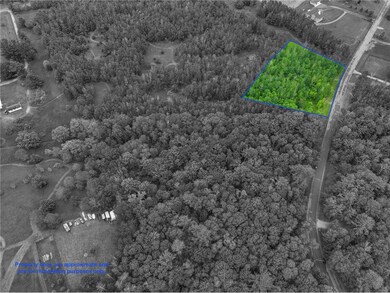 Lot 28 25 1 2 Street St, Chetek, WI 54728 - photo 3