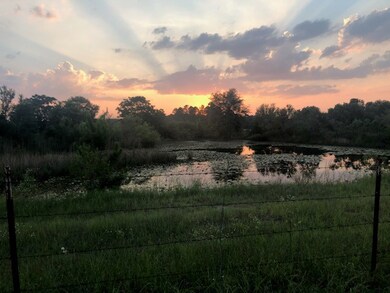 0 Jerry Young Rd unit 134444, Sumner, GA 31714 - photo 3