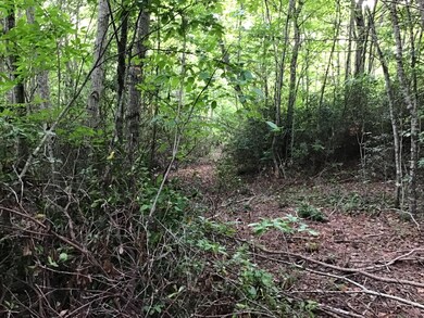 Tbd Bobcat Dr, Big Stone Gap, VA 24219 - photo 2