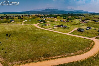 Birds eye view of property with a mountain view an