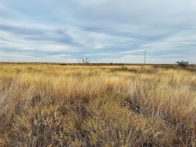 N176 E145, Vinson, OK 73571 - photo 2