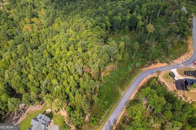 LT 275 Highgrove Dr, Talking Rock, GA 30175 - photo 3