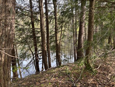 Cree waterfront 4 lots pic 4
