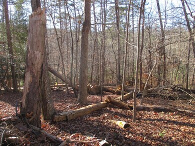 0 Huron Ct unit 420757, Ellijay, GA 30540 - photo 6